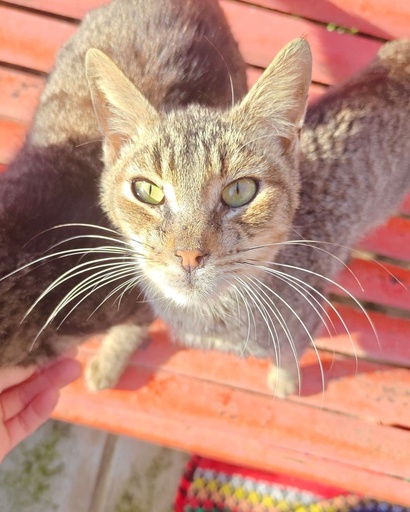 Billy Jean | 620099100062957