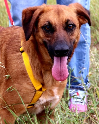 Esteva | 620099100066118