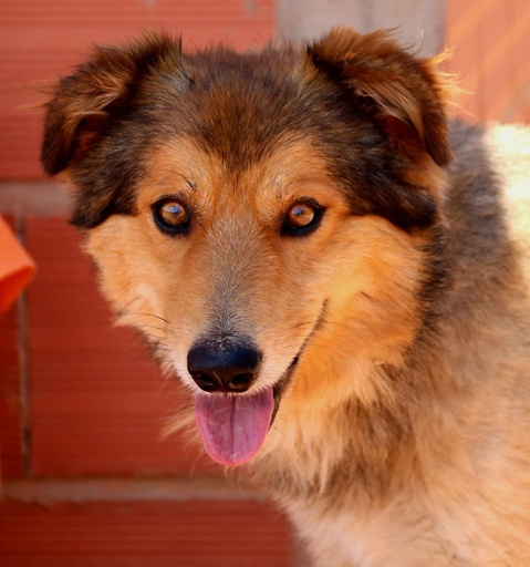 Edgar | 620099100069896