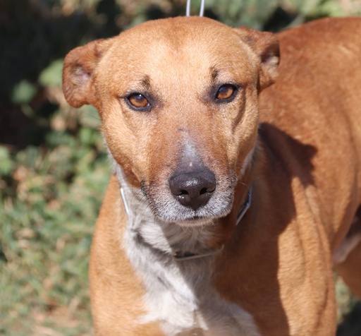 Kiko | 620096310065628