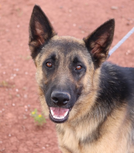 Justo | 620099100055499