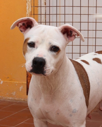 Kira | 620098102329176