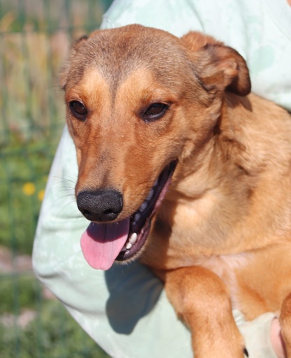 Terri | 620096310065296