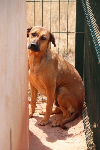 Vilma | 620096300000130